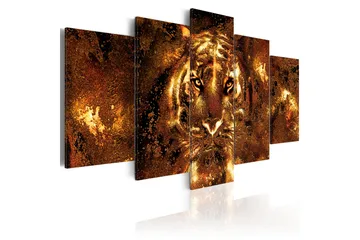Taulu Golden Tiger 100x50