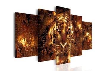 Taulu Golden Tiger 200x100