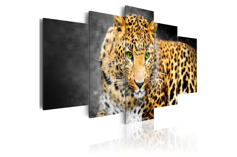 Taulu Green-Eyed Leopard 100x50, Artgeist sp. z o. o.