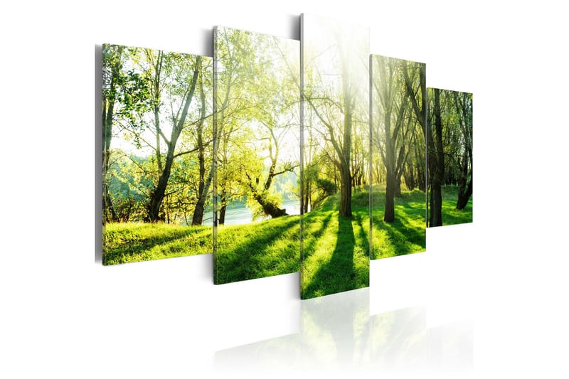Taulu Green Glade 200x100 - Artgeist sp. z o. o. - Sisustustuotteet - Taulu & taide - Canvas-taulu