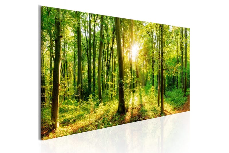 Taulu Green Magic 150x50, Artgeist sp. z o. o.