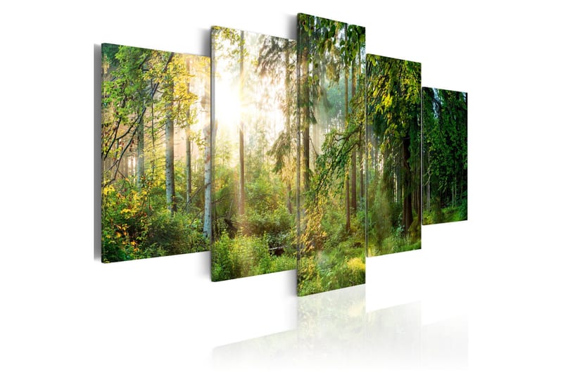 Taulu Green Sanctuary 200x100, Artgeist sp. z o. o.