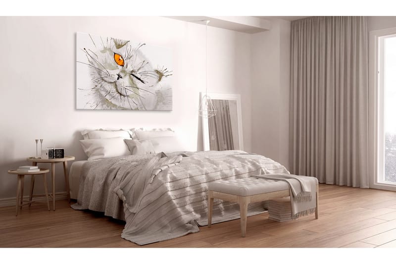 Taulu Grey Cat 90x60, Artgeist sp. z o. o.