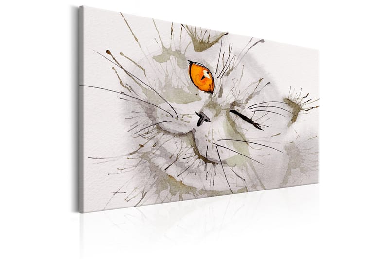 Taulu Grey Cat 90x60 - Artgeist sp. z o. o. - Sisustustuotteet - Taulu & taide - Canvas-taulu