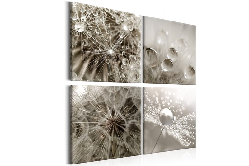 Taulu Grey Dandelion 40x40, Artgeist sp. z o. o.