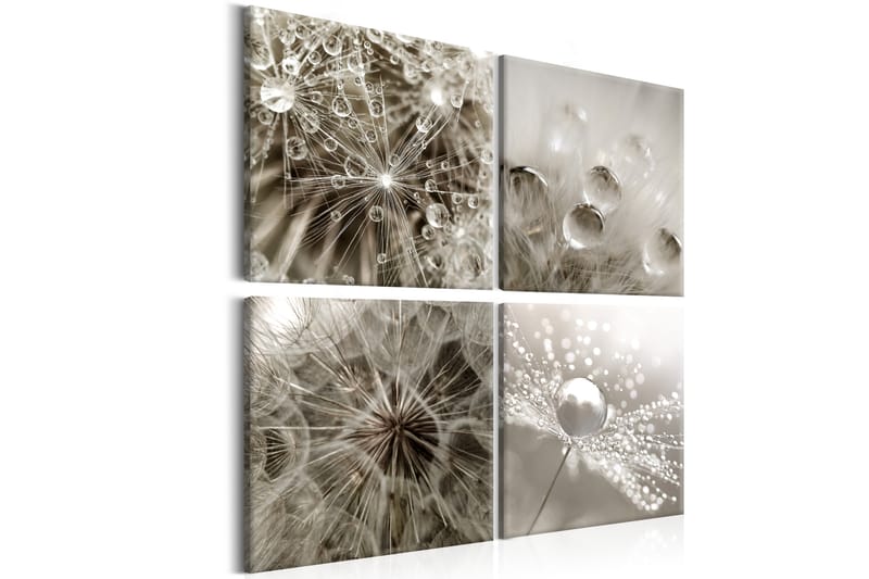 Taulu Grey Dandelion 80x80, Artgeist sp. z o. o.