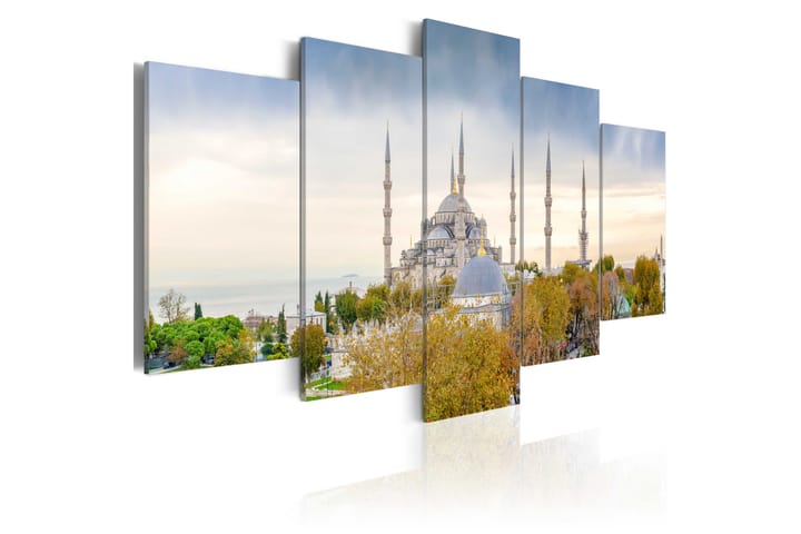 Taulu Hagia Sophia Istanbul Turkey 100x50 - Artgeist sp. z o. o. - Canvas-taulu - Seinäkoristeet