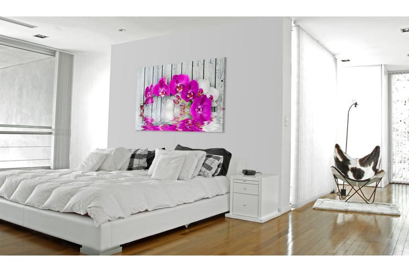 Taulu Harmonia Orkidea 60x40 - Artgeist sp. z o. o. - Sisustustuotteet - Taulu & taide - Canvas-taulu