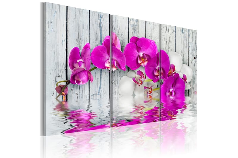Taulu Harmony Orchid Triptych 60x40, Artgeist sp. z o. o.