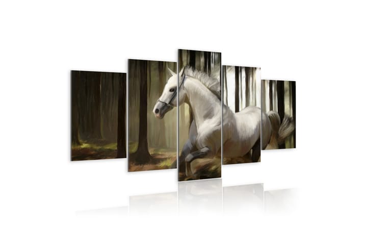 Taulu Horse Running 100x50 - Artgeist sp. z o. o. - Canvas-taulu - Seinäkoristeet