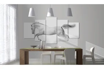 Taulu Horse- Passion And Freedom 200x100 - Artgeist sp. z o. o. - Sisustustuotteet - Taulu & taide - Canvas-taulu