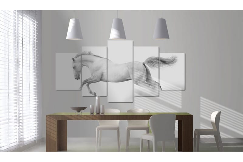 Taulu Horse- Passion And Freedom 200x100 - Artgeist sp. z o. o. - Sisustustuotteet - Taulu & taide - Canvas-taulu