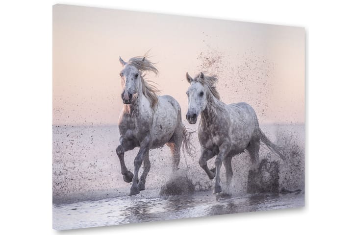 Taulu Horses 75x100 cm - Monivärinen - Canvas-taulu - Seinäkoristeet