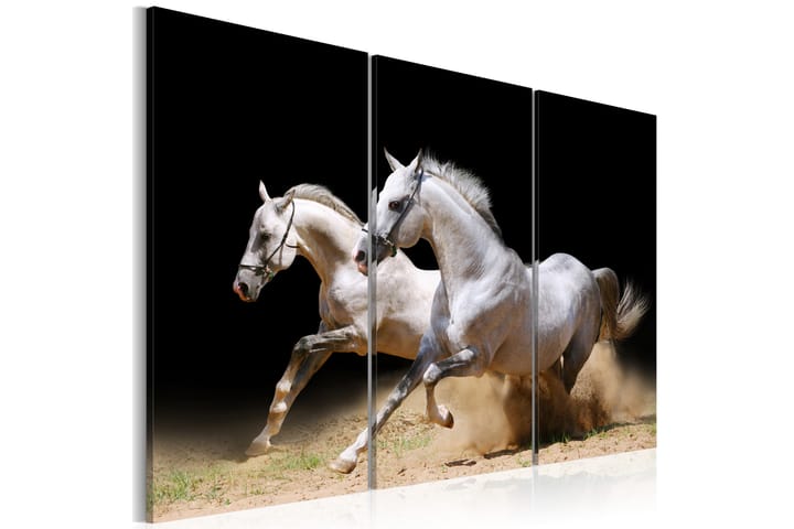 Taulu Horses- Power And Velocity 120x80 - Artgeist sp. z o. o. - Canvas-taulu - Seinäkoristeet