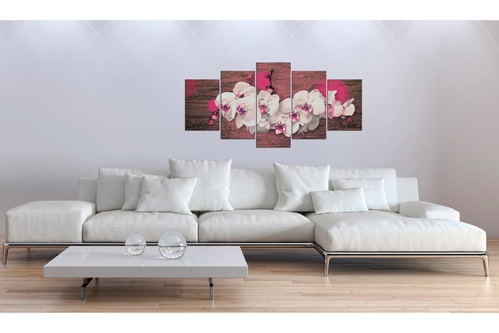 Taulu Ilo ja orkidea 100x50 - Artgeist sp. z o. o. - Canvas-taulu - Seinäkoristeet