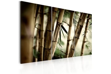 Taulu In A Tropical Forest 120x80