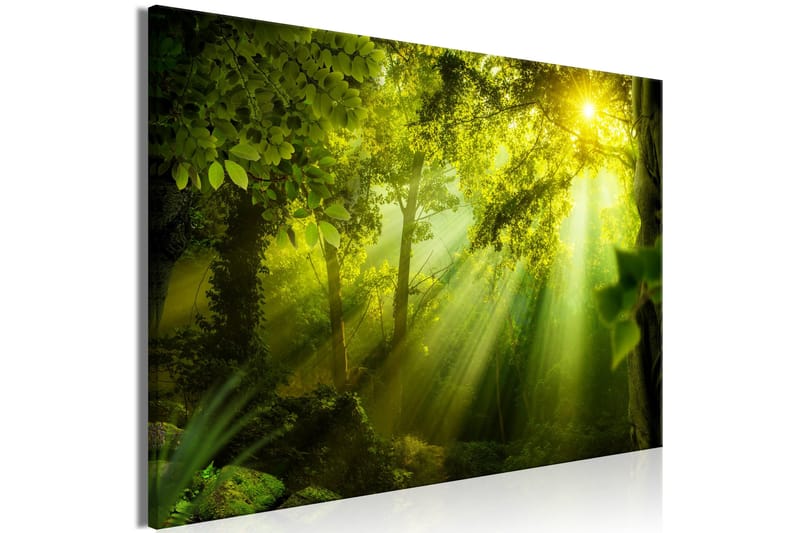 Taulu In the Sunshine (1 Part) Wide 90x60 - Artgeist sp. z o. o. - Sisustustuotteet - Taulu & taide - Canvas-taulu