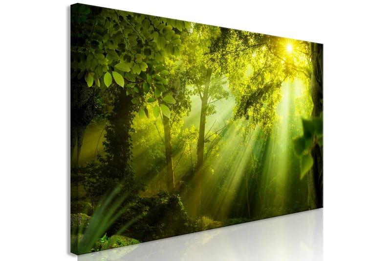 Taulu In the Sunshine (1 Part) Narrow 150x50 - Artgeist sp. z o. o. - Sisustustuotteet - Taulu & taide - Canvas-taulu