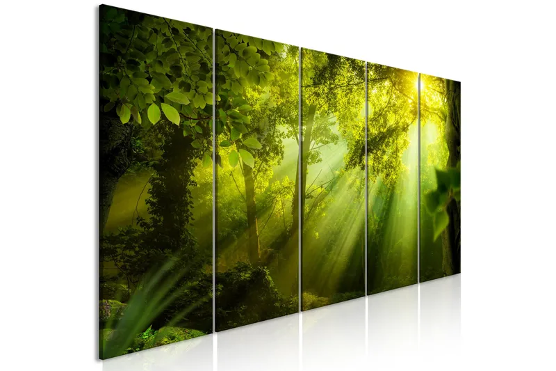 Taulu In The Sunshine 5 Parts Narrow 200x80, Artgeist sp. z o. o.