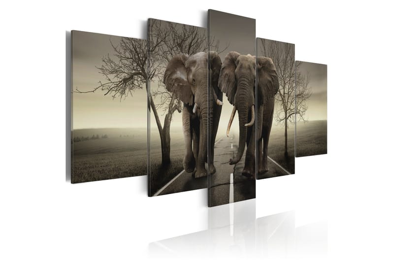 Taulu It's A Wild World! 100x50, Artgeist sp. z o. o.