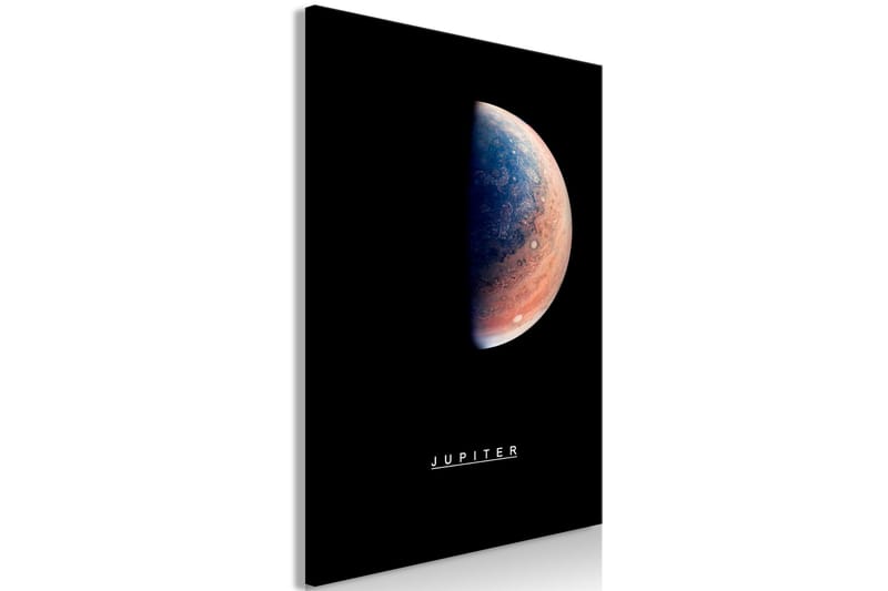 Taulu Jupiter (1 Part) Vertical 60x90 - Artgeist sp. z o. o. - Sisustustuotteet - Taulu & taide - Canvas-taulu