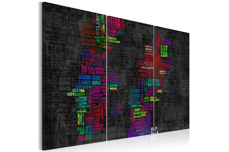 Taulu Karta Över Sverige Färgade Namn Städer Triptych 60x40, Artgeist sp. z o. o.