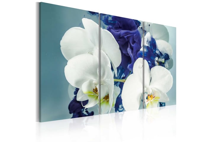 Taulu Kimeerinen orkidea 120x80 - Artgeist sp. z o. o. - Canvas-taulu - Seinäkoristeet