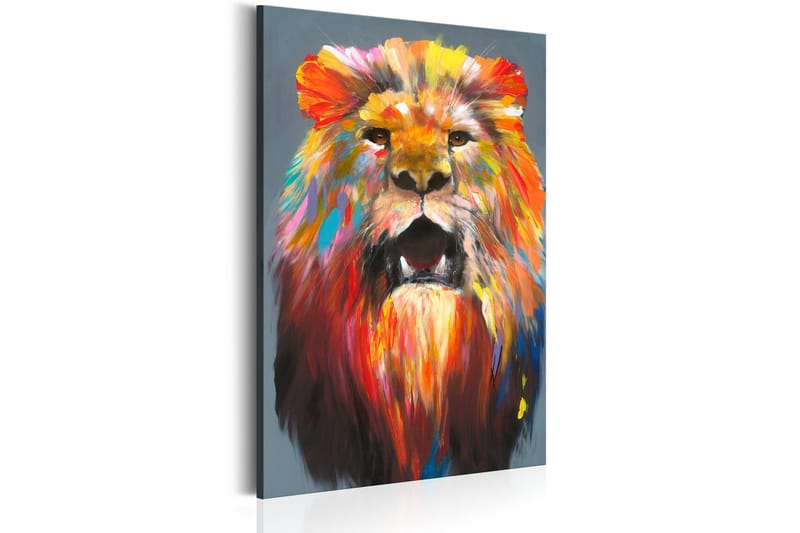 Taulu King of Colours 80x120 - Artgeist sp. z o. o. - Sisustustuotteet - Taulu & taide - Canvas-taulu