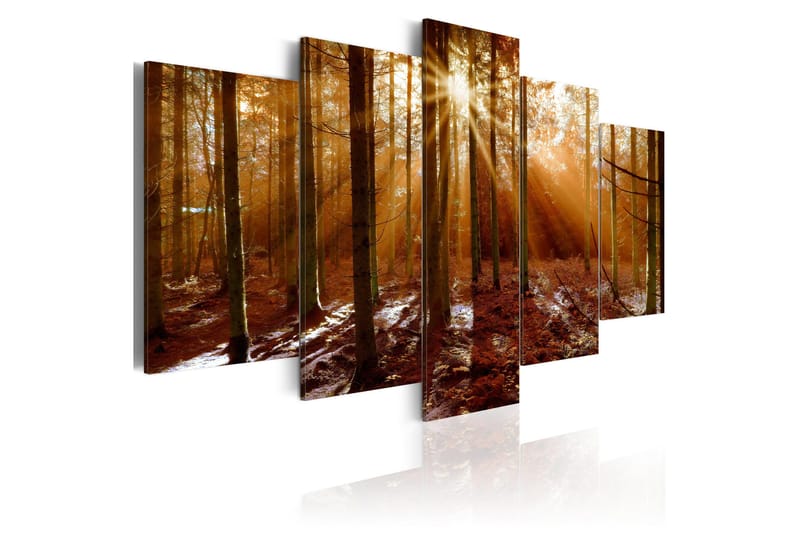 Taulu Kiss Of Autumn 100x50, Artgeist sp. z o. o.