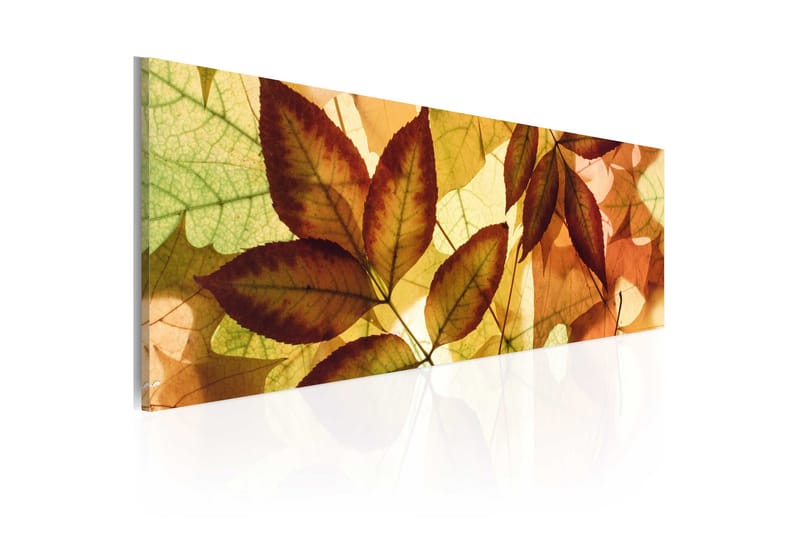 Taulu Kollaasi Lehdet 120x40 - Artgeist sp. z o. o. - Sisustustuotteet - Taulu & taide - Canvas-taulu