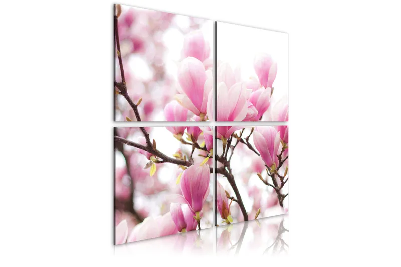 Taulu Kukkiva Magnolia puu 80x80, Artgeist sp. z o. o.