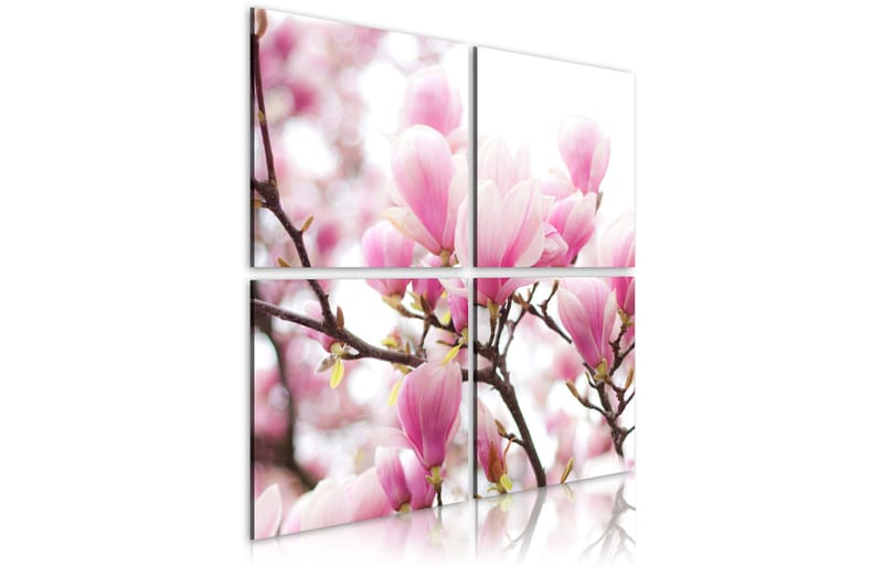 Taulu Kukkiva Magnolia puu 40x40 - Artgeist sp. z o. o. - Sisustustuotteet - Taulu & taide - Canvas-taulu