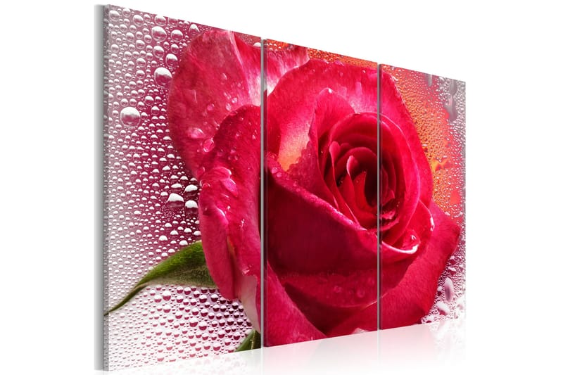 Taulu Lady Rose triptych 90x60, Artgeist sp. z o. o.