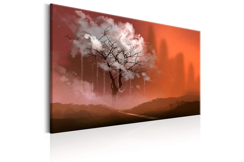 Taulu Land of Dreams 120x80 - Artgeist sp. z o. o. - Sisustustuotteet - Taulu & taide - Canvas-taulu