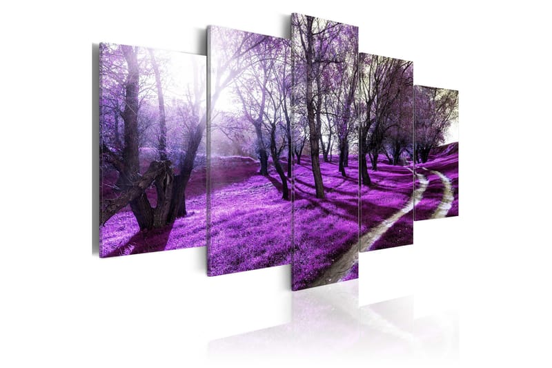 Taulu Lavender Orchard 200x100, Artgeist sp. z o. o.