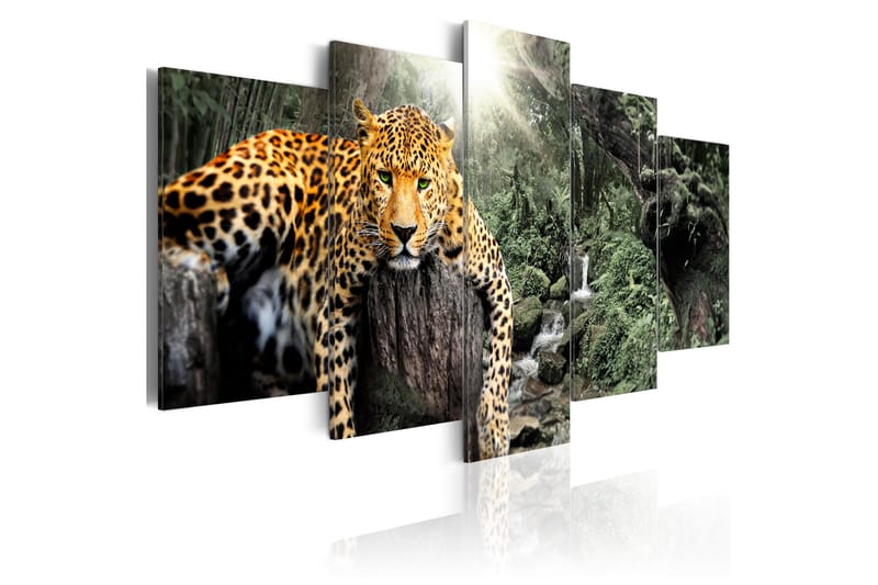 Taulu Lazy Afternoon 100x50, Artgeist sp. z o. o.