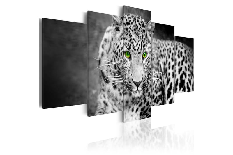 Taulu Leopard Black&White 100x50, Artgeist sp. z o. o.