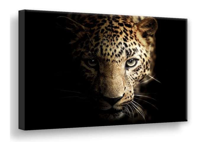 Taulu Leopard Digiprintattu Canvas - 75x100 cm - Canvas-taulu - Seinäkoristeet