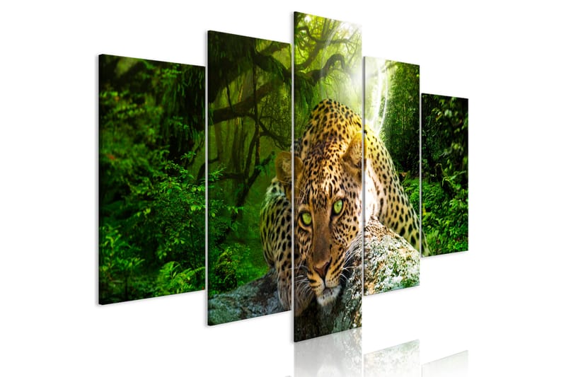 Taulu Leopard Lying 5 Parts Wide Green 200x100, Artgeist sp. z o. o.