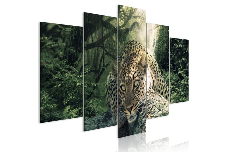 Taulu Leopard Lying 5 Parts Wide Pale Green 200x100, Artgeist sp. z o. o.