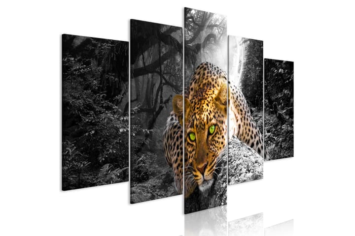 Taulu Leopard Lying 5 Parts Wide Grey 100x50 - Artgeist sp. z o. o. - Seinäkoristeet - Canvas-taulu