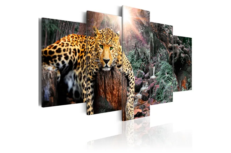Taulu Leopard Relaxation 100x50, Artgeist sp. z o. o.