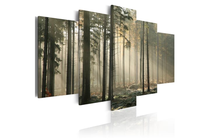 Taulu Light In A Dark Forest 200x100 - Artgeist sp. z o. o. - Canvas-taulu - Seinäkoristeet
