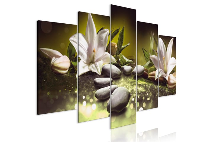 Taulu Lilies And Kivis 5 Parts Wide Green 200x100 - Artgeist sp. z o. o. - Canvas-taulu - Seinäkoristeet