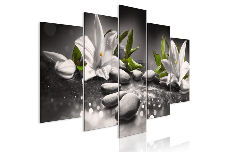 Taulu Lilies And Kivis 5 Parts Wide Grey 100x50, Artgeist sp. z o. o.