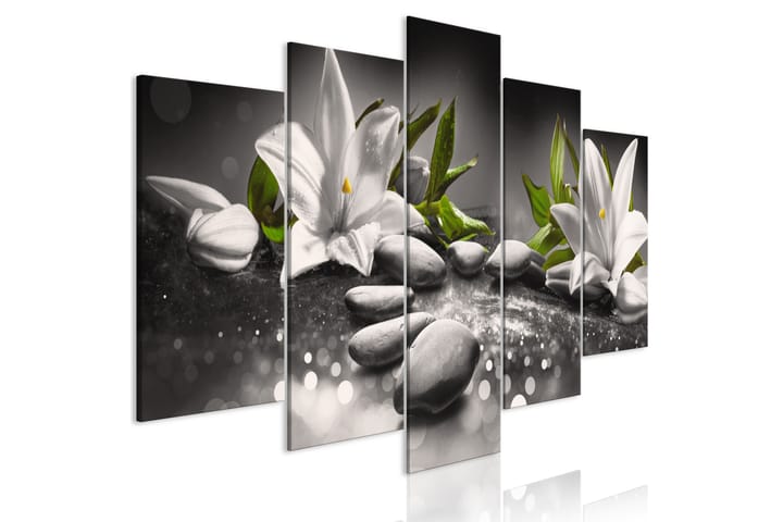 Taulu Lilies And Kivis 5 Parts Wide Grey 200x100 - Artgeist sp. z o. o. - Canvas-taulu - Seinäkoristeet
