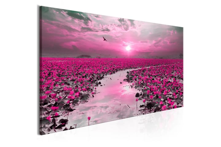 Taulu Lilies and Sunset (1 Part) Narrow 120x40 - Artgeist sp. z o. o. - Canvas-taulu - Seinäkoristeet