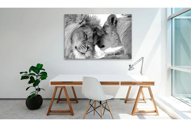Taulu Lion's Love 120x80, Artgeist sp. z o. o.