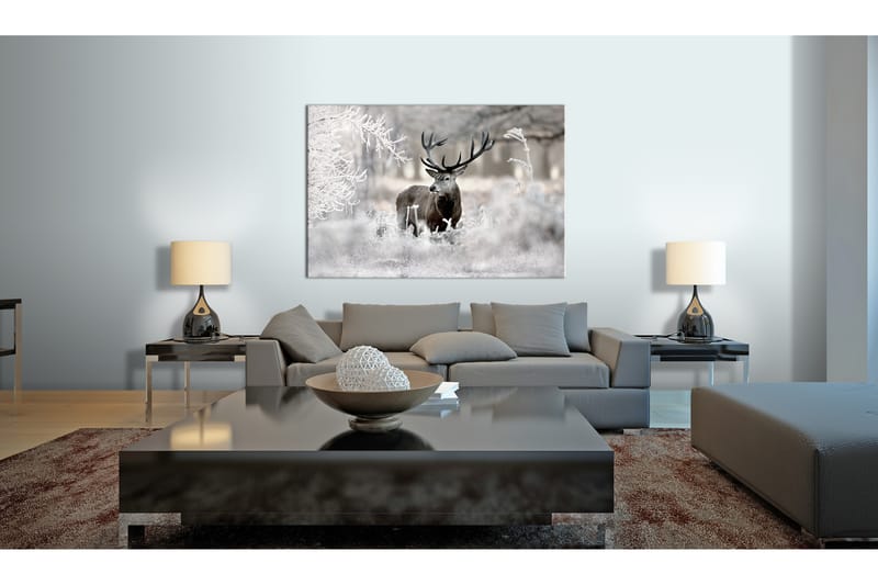 Taulu Lonely Deer 120x80 - Artgeist sp. z o. o. - Sisustustuotteet - Taulu & taide - Canvas-taulu