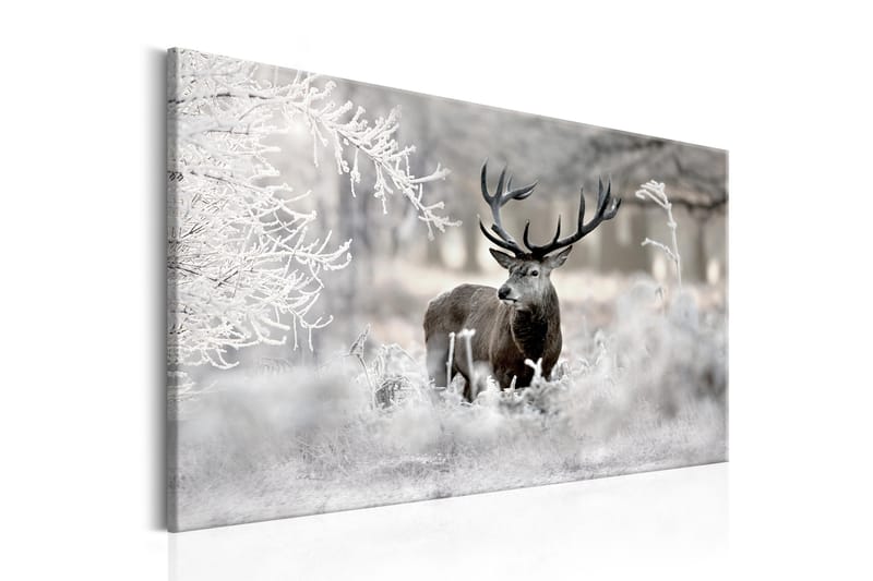 Taulu Lonely Deer 90x60 - Artgeist sp. z o. o. - Sisustustuotteet - Taulu & taide - Canvas-taulu